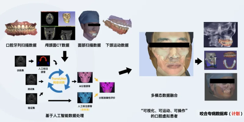 为患者定制“数字孪生分身” 福建咬合病诊疗进入“数据驱动”时代