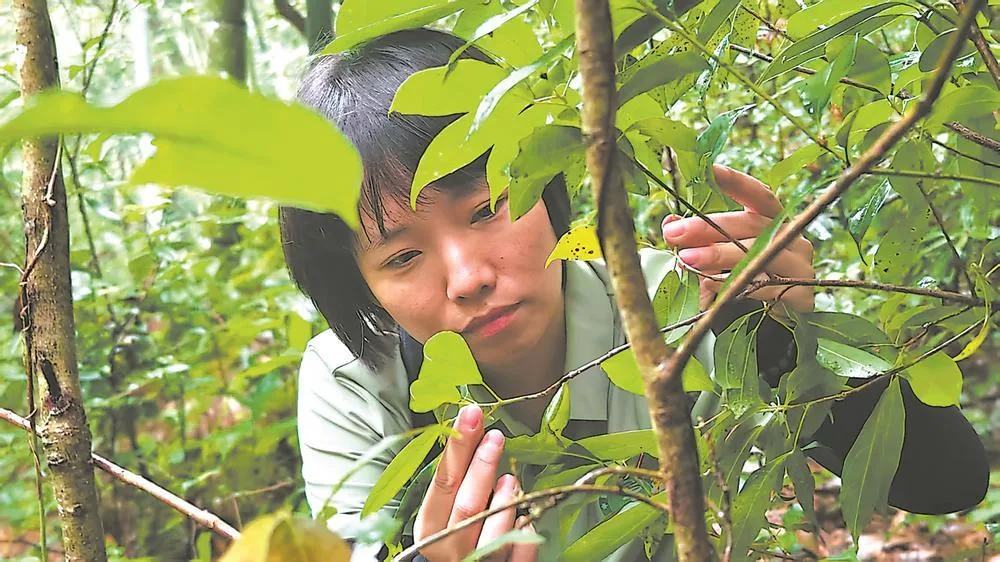当一只蝴蝶在“闽中屋脊”振翅 社会