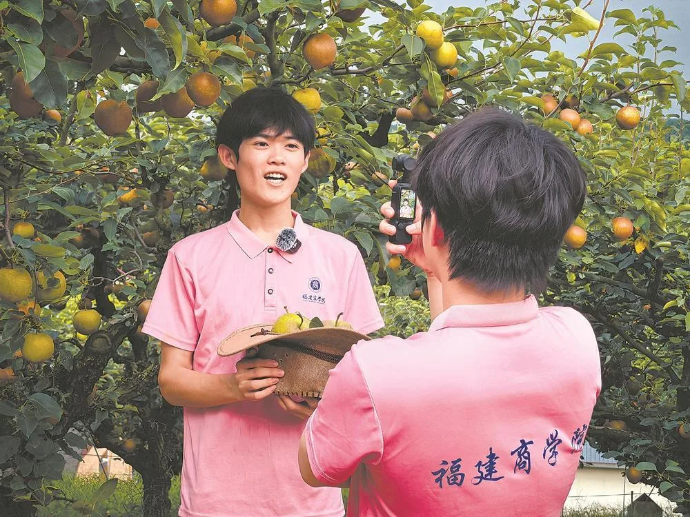 大学生社会实践的根,如何扎在山海之间 文教 - 配图5