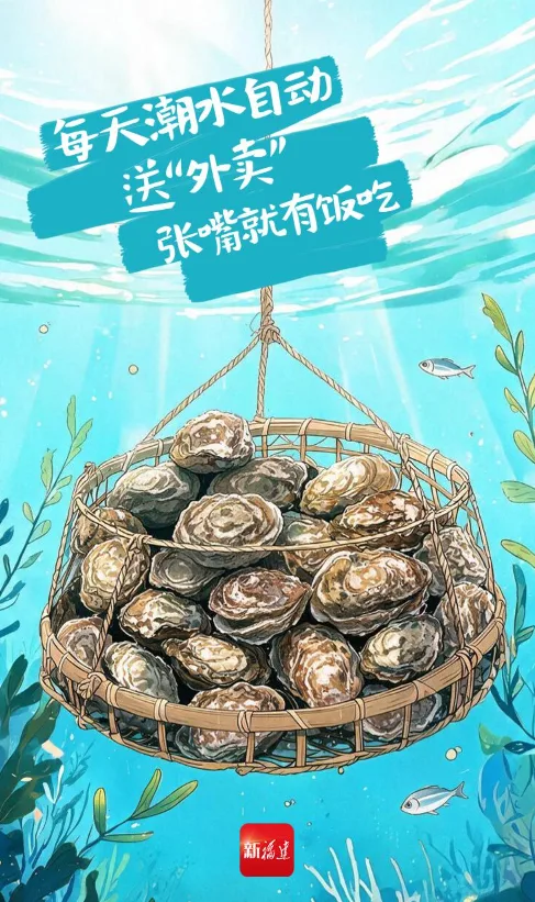 八闽风物正当时 | 夏天的快乐,生蚝知道 - 配图4