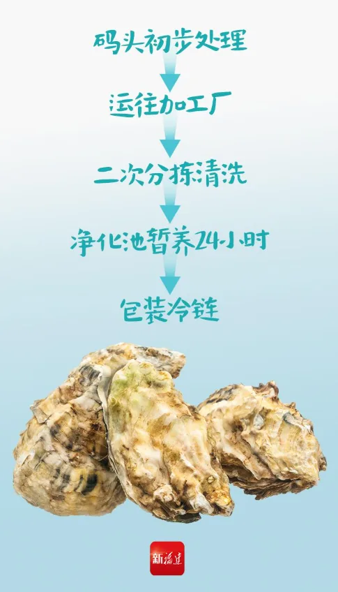 八闽风物正当时 | 夏天的快乐,生蚝知道 - 配图6