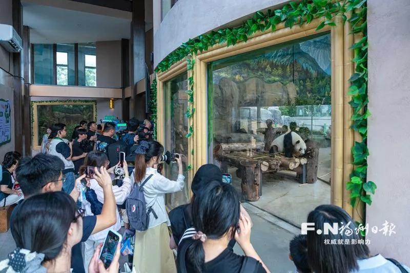 “夏一站,来福州” 多彩研学品读榕城 社会 - 配图5