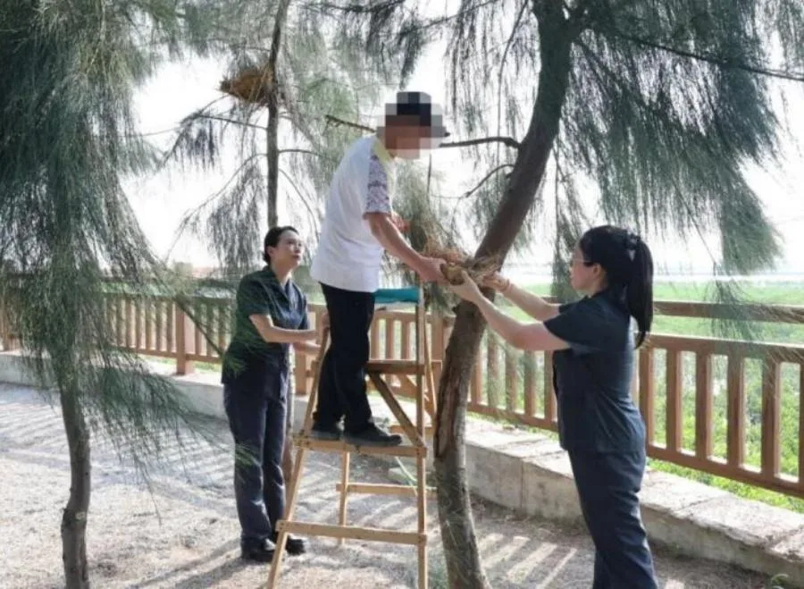 福建首例适用《生态环境法典》刑事案件在漳州东山落槌 - 配图2