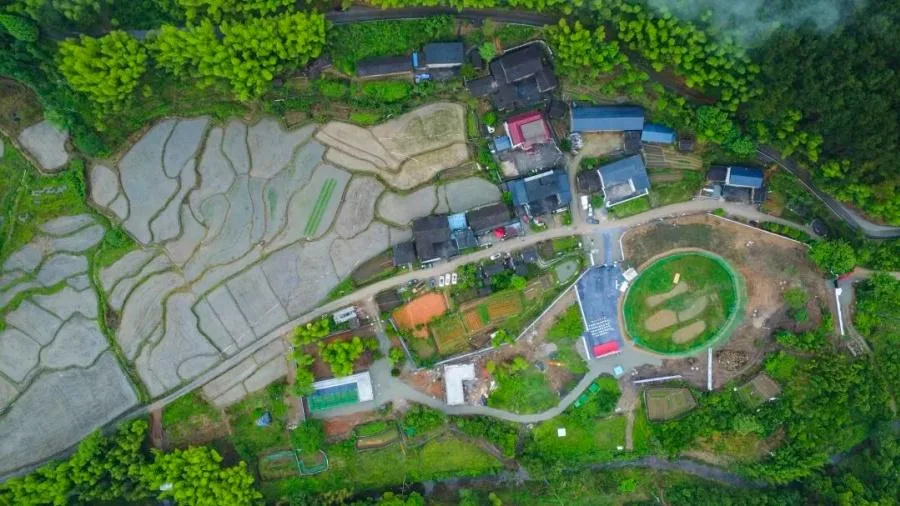 福建朱鹮种群重建正式启动实施