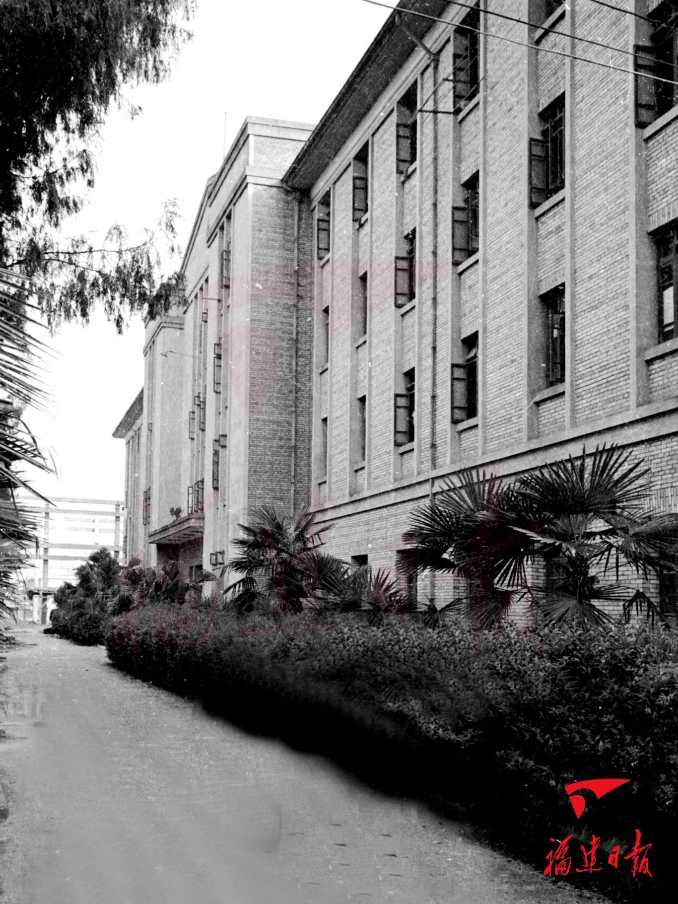 福建日报,77岁啦! 社会 - 配图10
