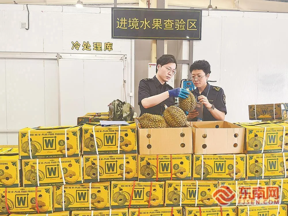 泉州口岸迎来首批空运进境水果 民生