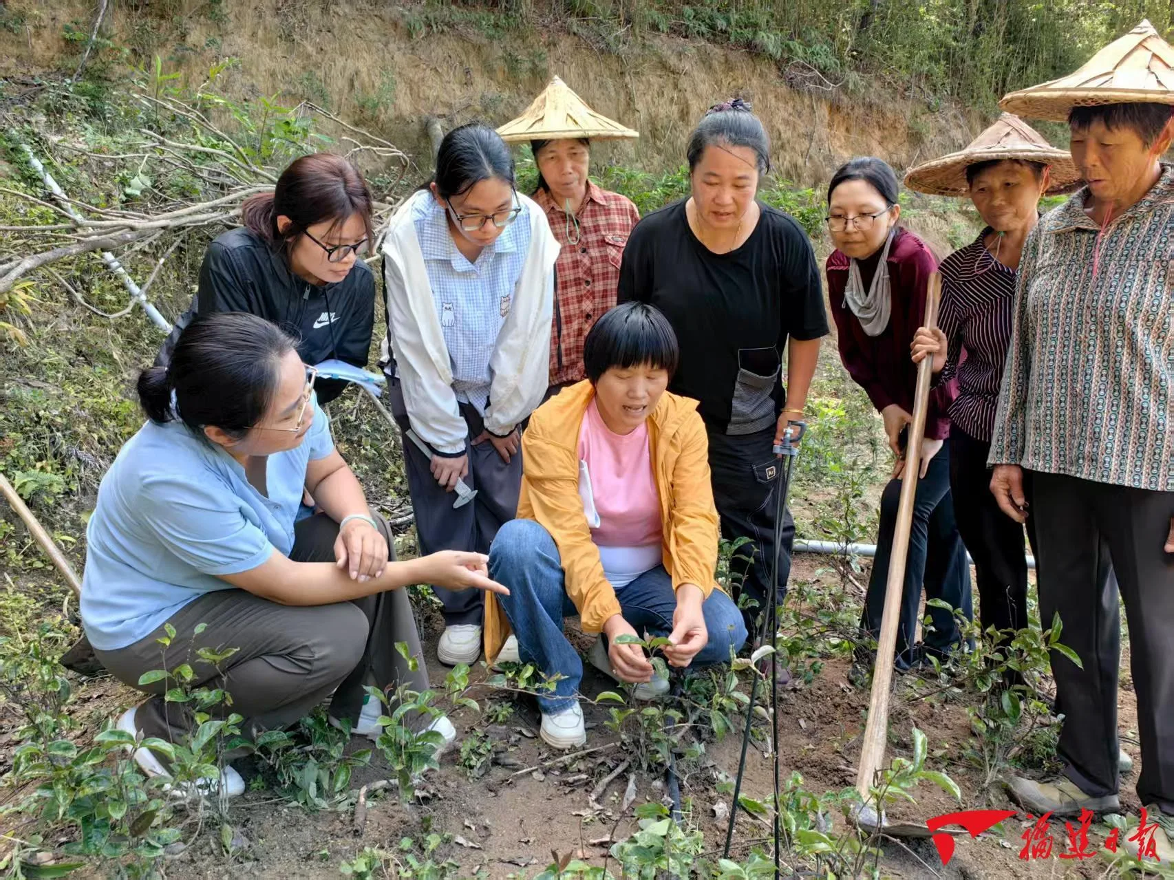 深读｜一粒“犟种”的落地生根 社会