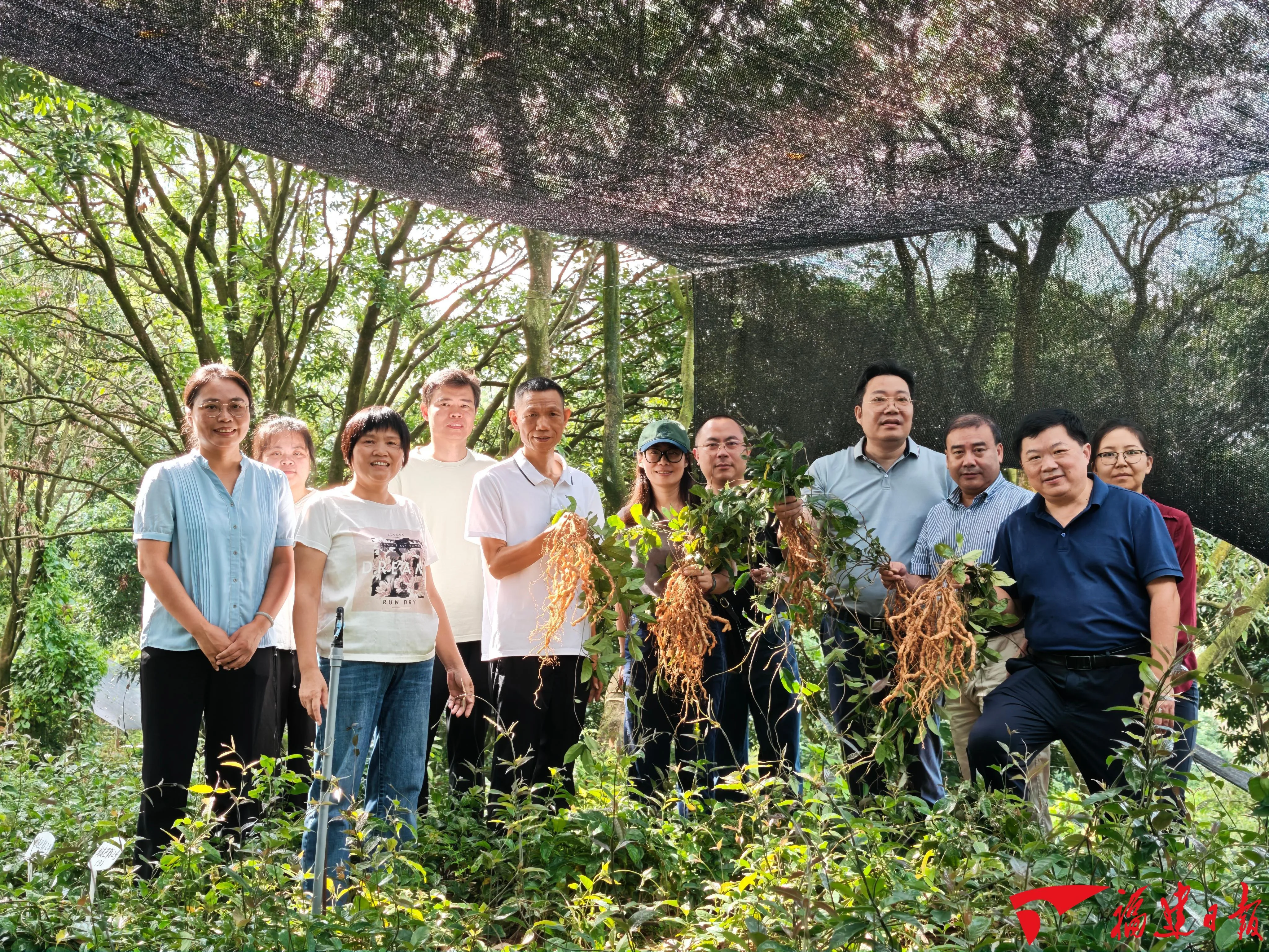 深读｜一粒“犟种”的落地生根 社会 - 配图5