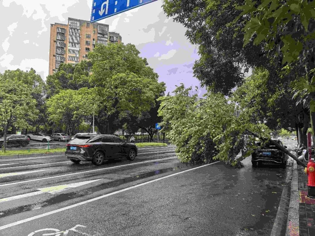 福州迎来狂风暴雨 多地路面积水树木倒伏、多条公交线路停运、公园暂闭