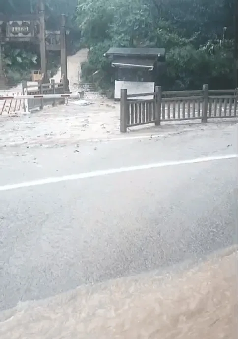 福州迎来狂风暴雨 多地路面积水树木倒伏、多条公交线路停运、公园暂闭 - 配图3