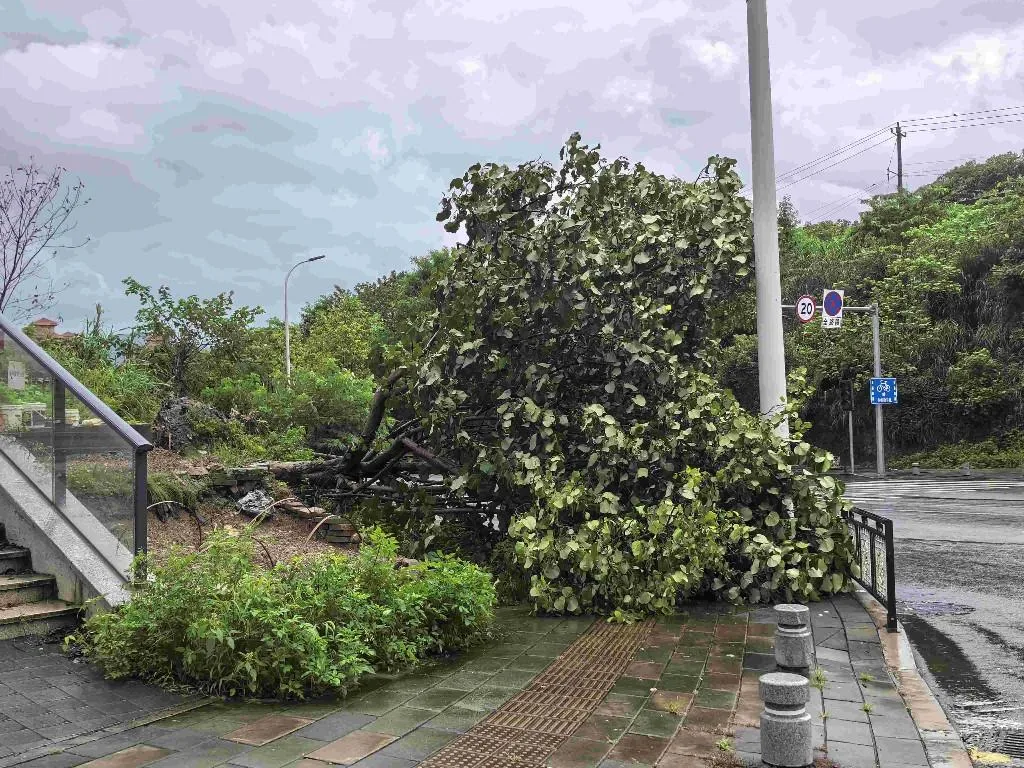 福州迎来狂风暴雨 多地路面积水树木倒伏、多条公交线路停运、公园暂闭 - 配图12