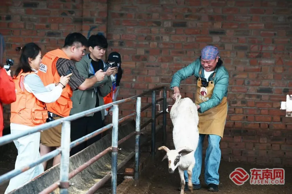 “闽宁情・山海助农”：溯源滩羊产地 同台助播拓宽山海产销路 - 配图3