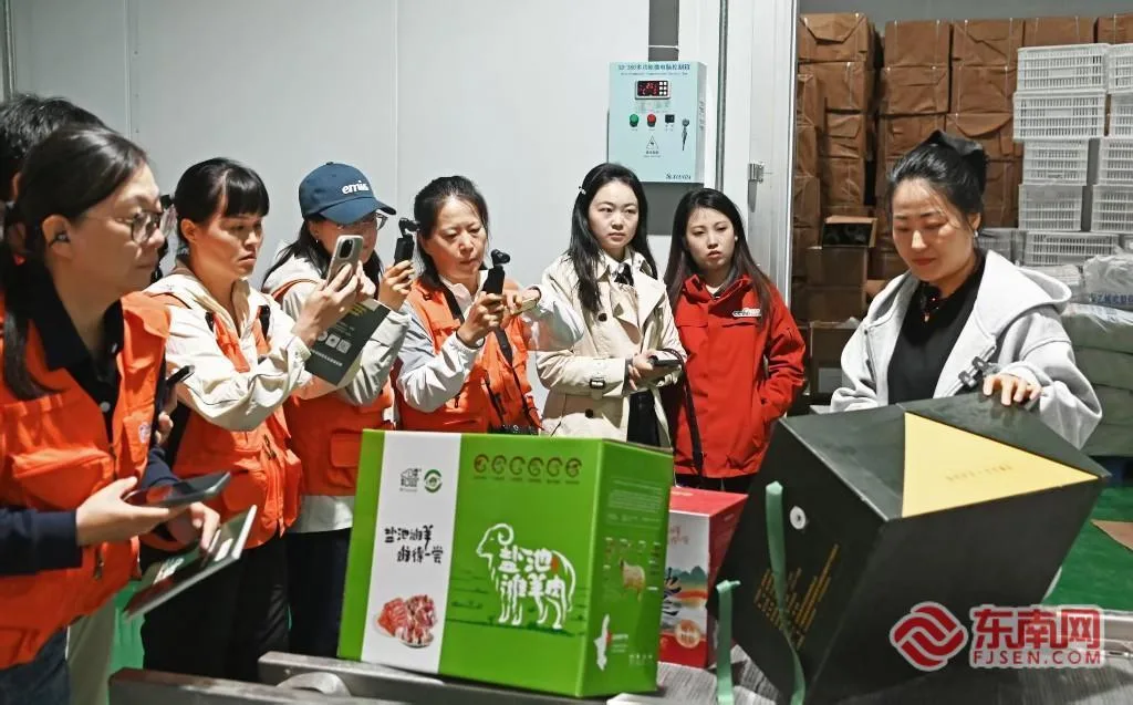 “闽宁情・山海助农”：溯源滩羊产地 同台助播拓宽山海产销路 - 配图6