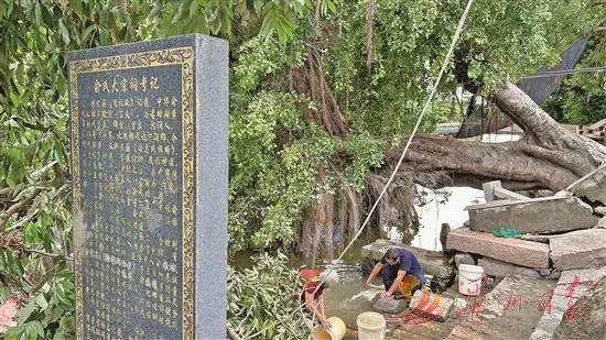 大水过后,福建街头巷尾最响亮的,是这个字 - 配图3