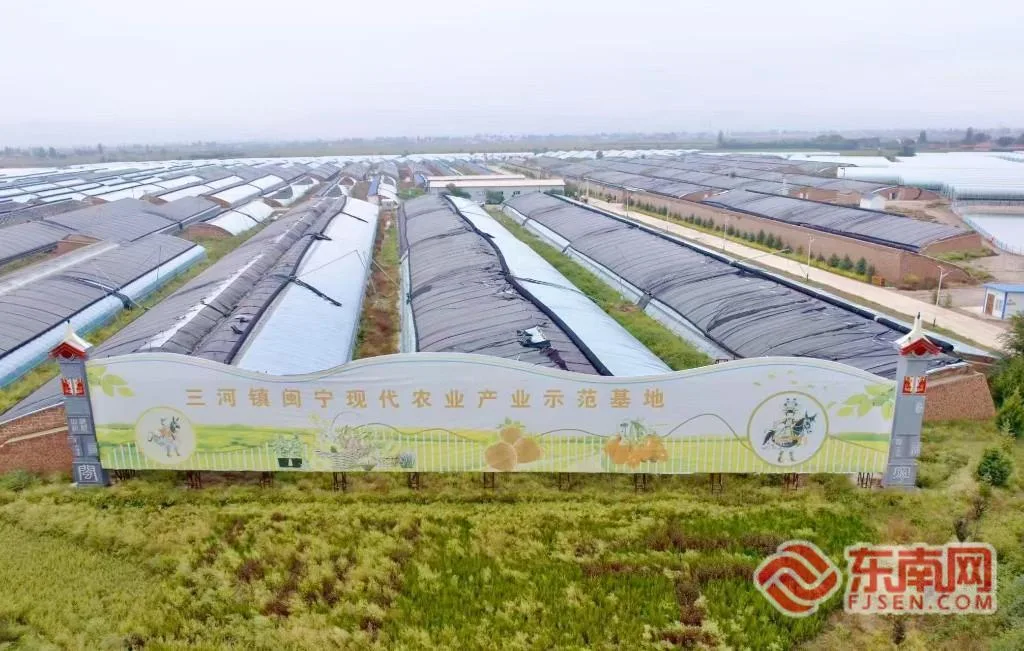 “闽宁情・山海助农”走进海原:流量搭桥、基地探源,电商助农点亮乡村振兴 - 配图6