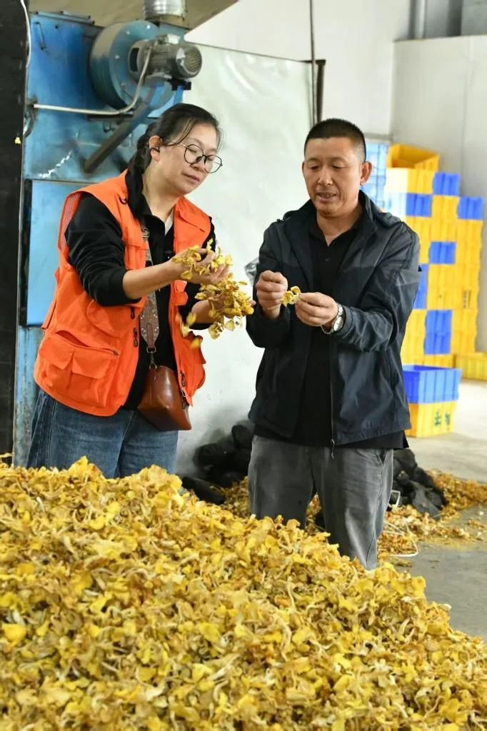 “闽宁情・山海助农”走进海原:流量搭桥、基地探源,电商助农点亮乡村振兴 - 配图10