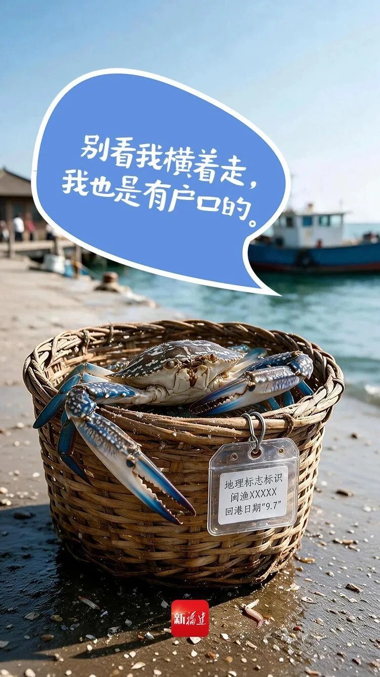 八闽风物正当时 | 秋风起，这只“青脚花蟹”藏不住了 - 配图5