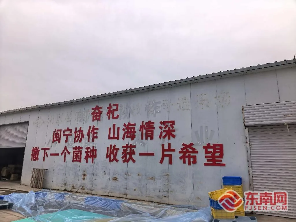 从福建到宁夏:闽宁协作三十年,一批福建创业者扎根塞上书写山海故事 - 配图4