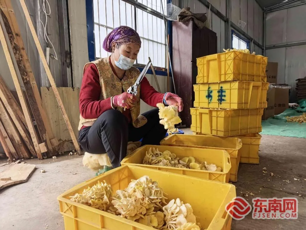 从福建到宁夏:闽宁协作三十年,一批福建创业者扎根塞上书写山海故事 - 配图5