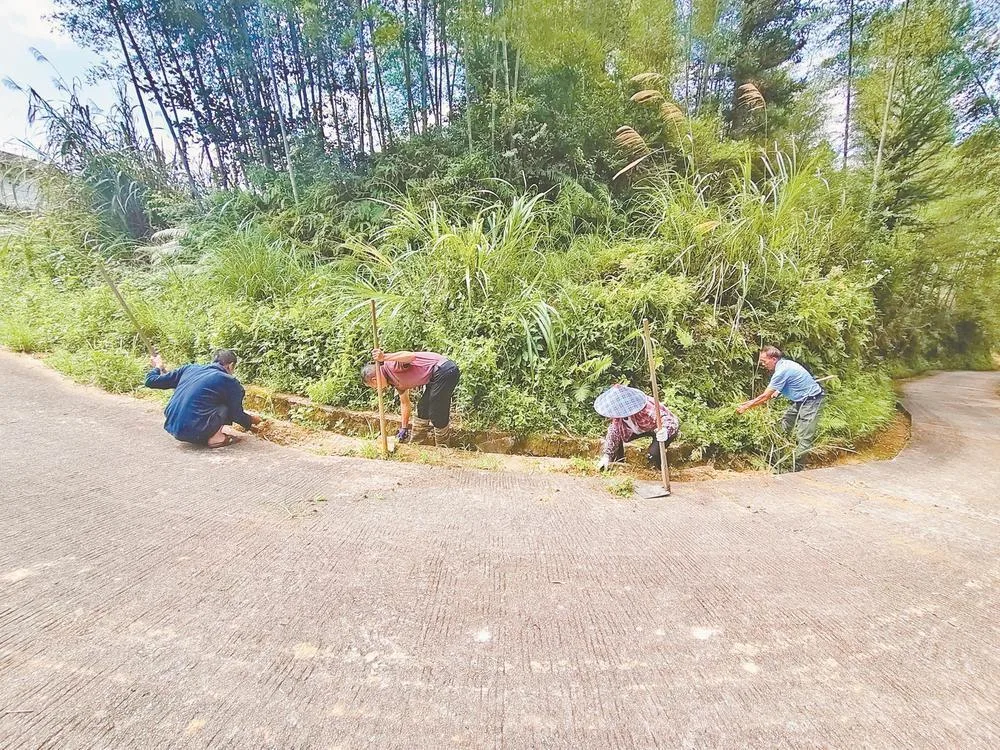 福田村有个“修路节” 社会