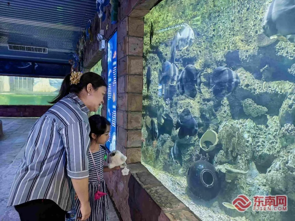 共赴蔚蓝之约!两岸同胞沉浸式海洋科普实践 - 配图3