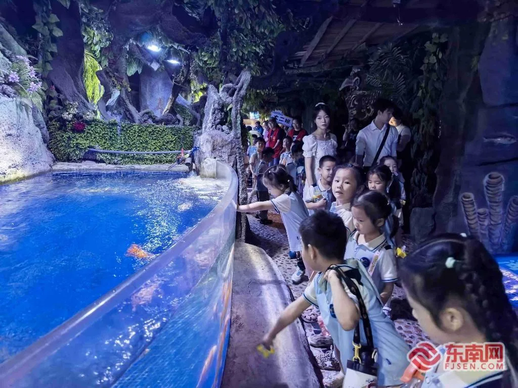 共赴蔚蓝之约!两岸同胞沉浸式海洋科普实践 - 配图4