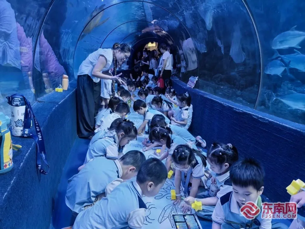 共赴蔚蓝之约!两岸同胞沉浸式海洋科普实践 - 配图6