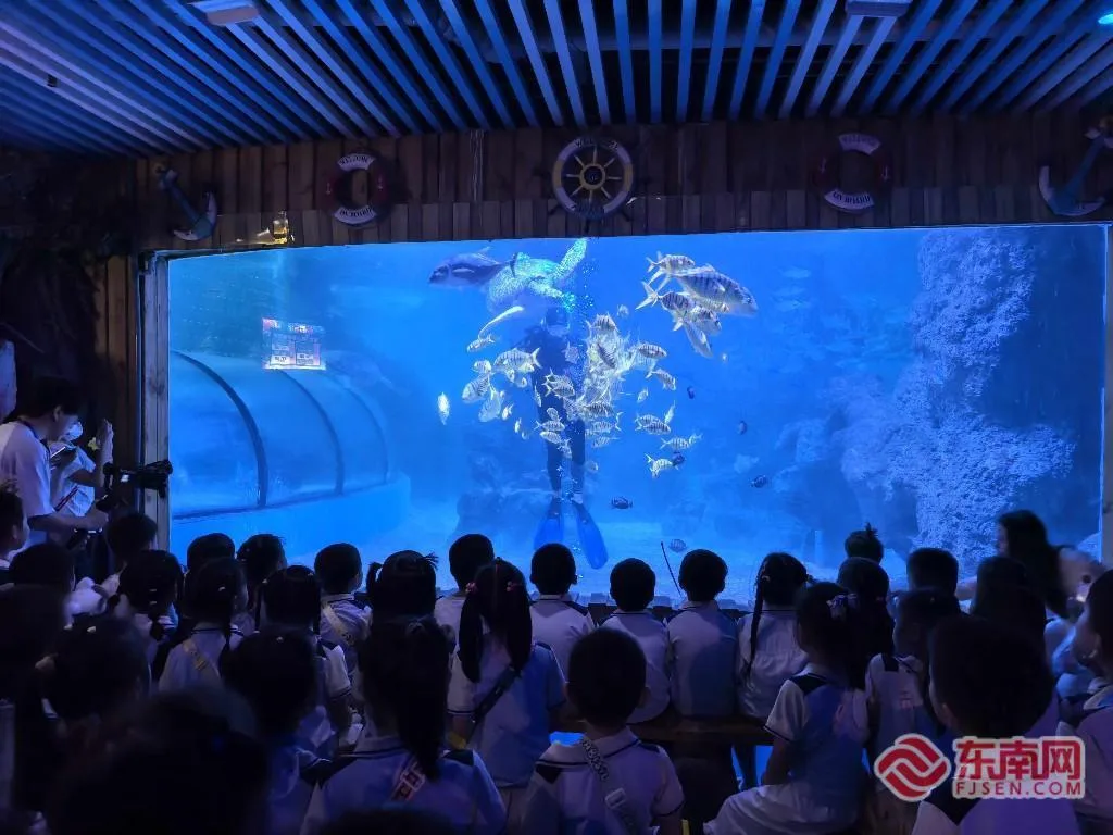 共赴蔚蓝之约!两岸同胞沉浸式海洋科普实践 - 配图7
