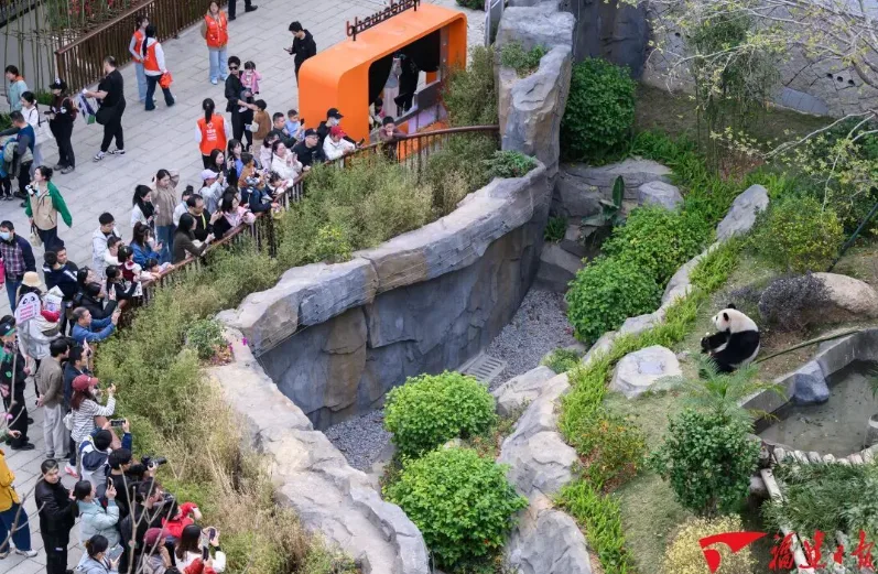 机票、球票、演出票……中秋国庆来福建，把票根当钱花！ - 配图7