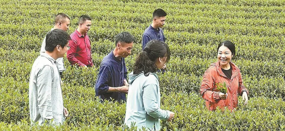 三尺讲台育英才 一线科研拓新智——基础研究人才一线生长记 社会