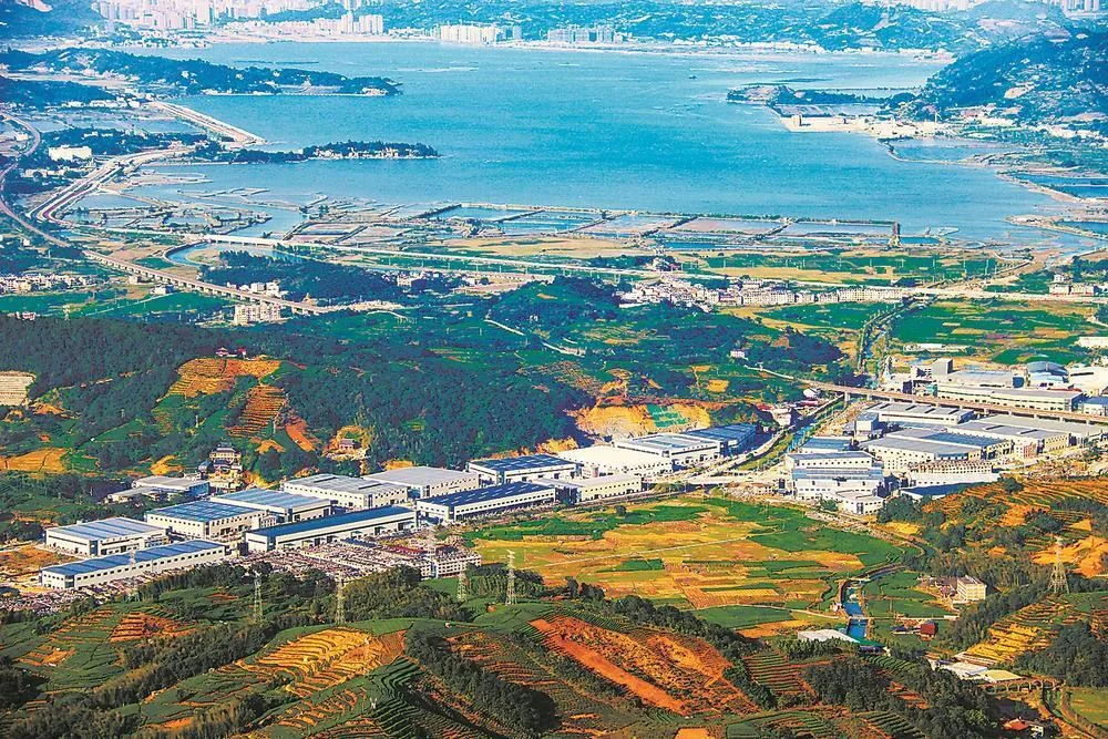 深读 |“老底子”产业也有春天 社会 - 配图7