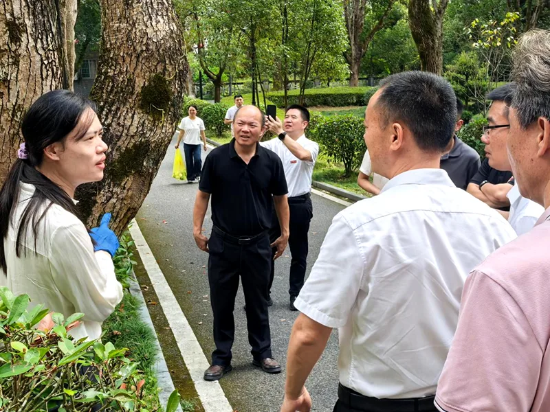 古田会议会址老樟树“抱恙” 福建农林大学林业专家现场诊断病因 - 配图2