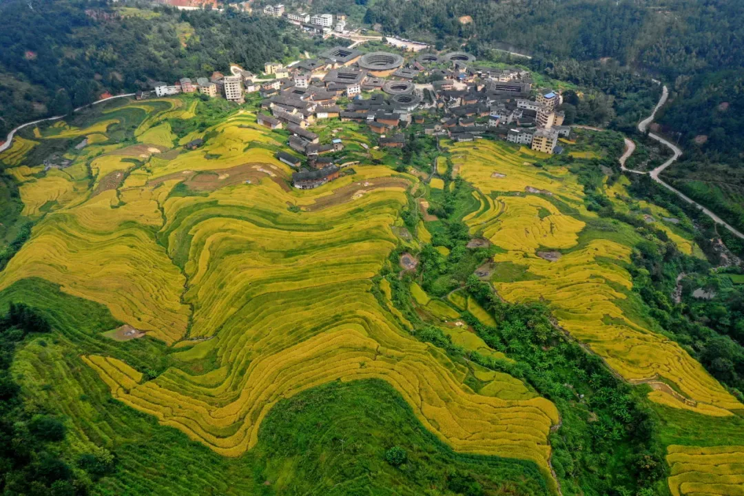 “闽式生活”超带感|去福建的村里,捡一片秋天 - 配图6