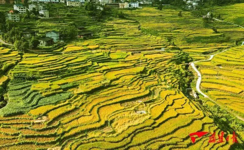 “闽式生活”超带感|去福建的村里,捡一片秋天 - 配图8