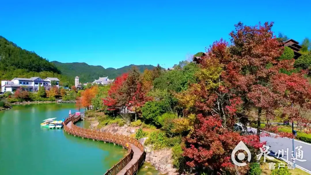“闽式生活”超带感|去福建的村里,捡一片秋天 - 配图12