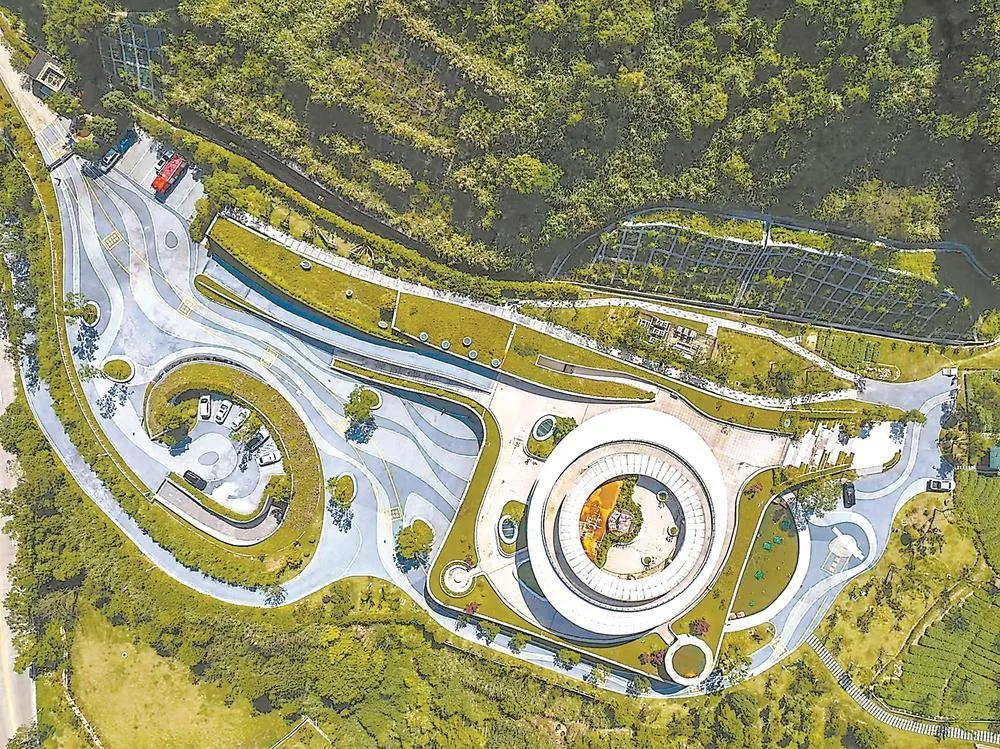 观澜·福见 | 我在红庙岭寻“宝” 文教