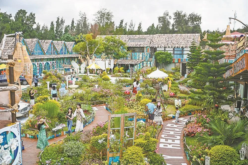 慢逛细品,解锁岚岛松弛之旅 文教