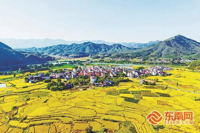 福建松溪：丰收气息扑面而来 民生