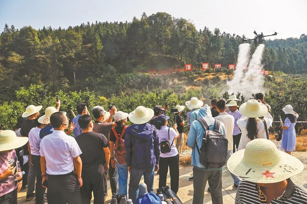 丘陵山区果园生产迈向全程机械化 经济 - 配图2