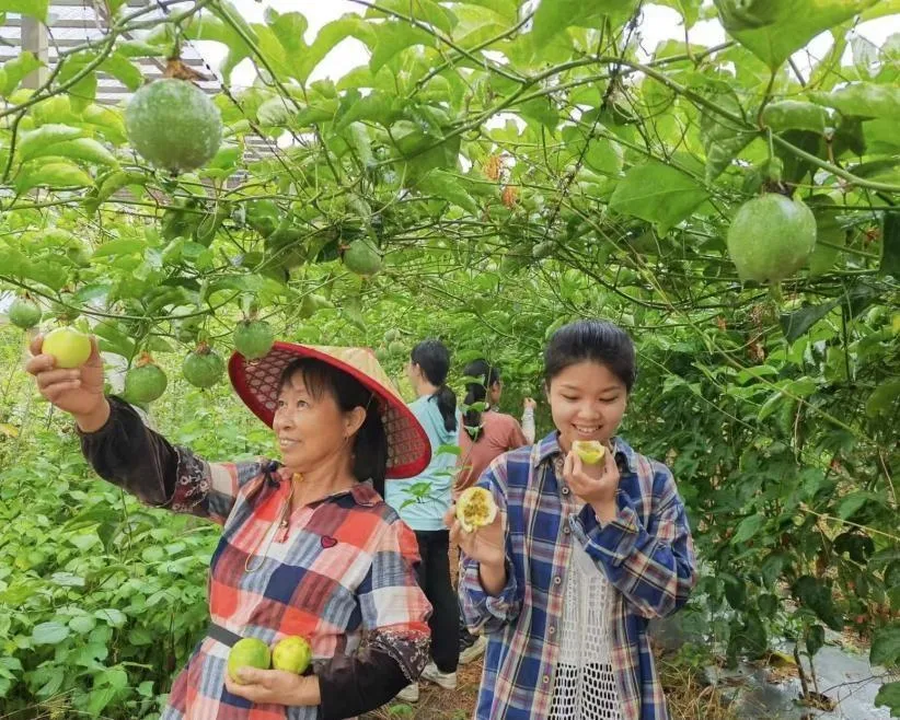 (我们的长征路)红土地上的新长征·长汀篇|从长征起点再出发 红色乡村阔步振兴路 - 配图6