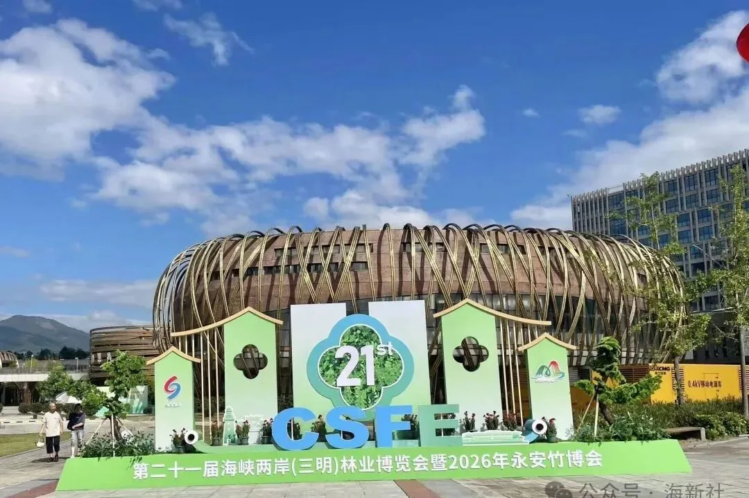 文化为媒，福建答好对台交流这道题 - 配图13