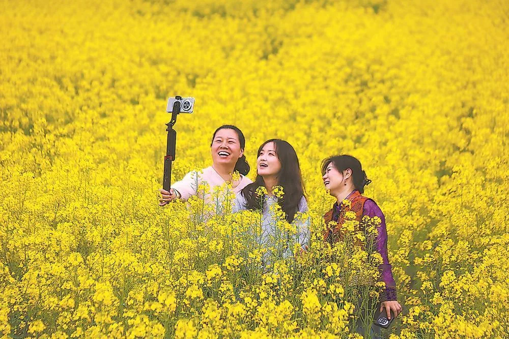 福鼎前岐:海路通商脉 新业竞芳菲 社会 - 配图3