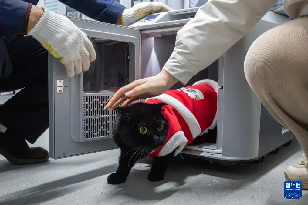 “萌宠”旅客春运进行时