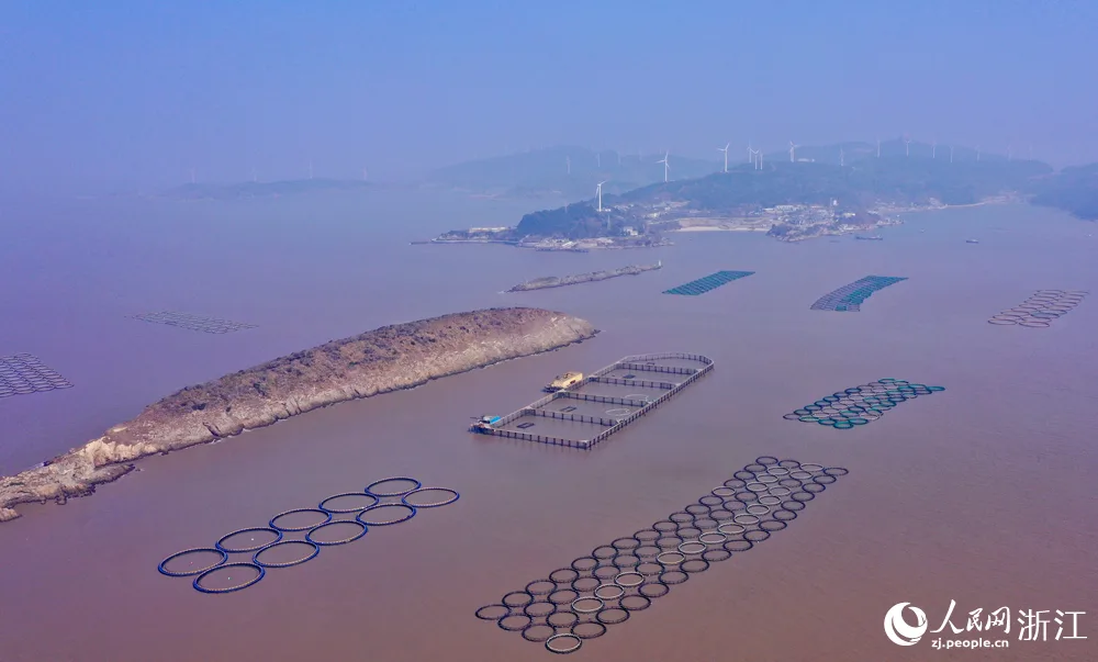 台州椒江：深海养殖绘就海岛致富新图景