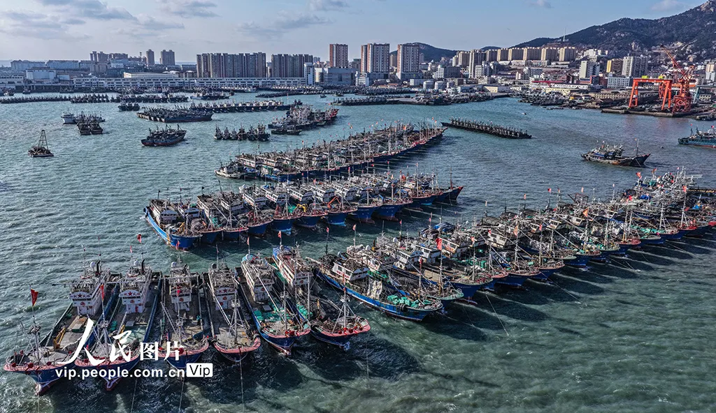 山东荣成：渔船归港避风