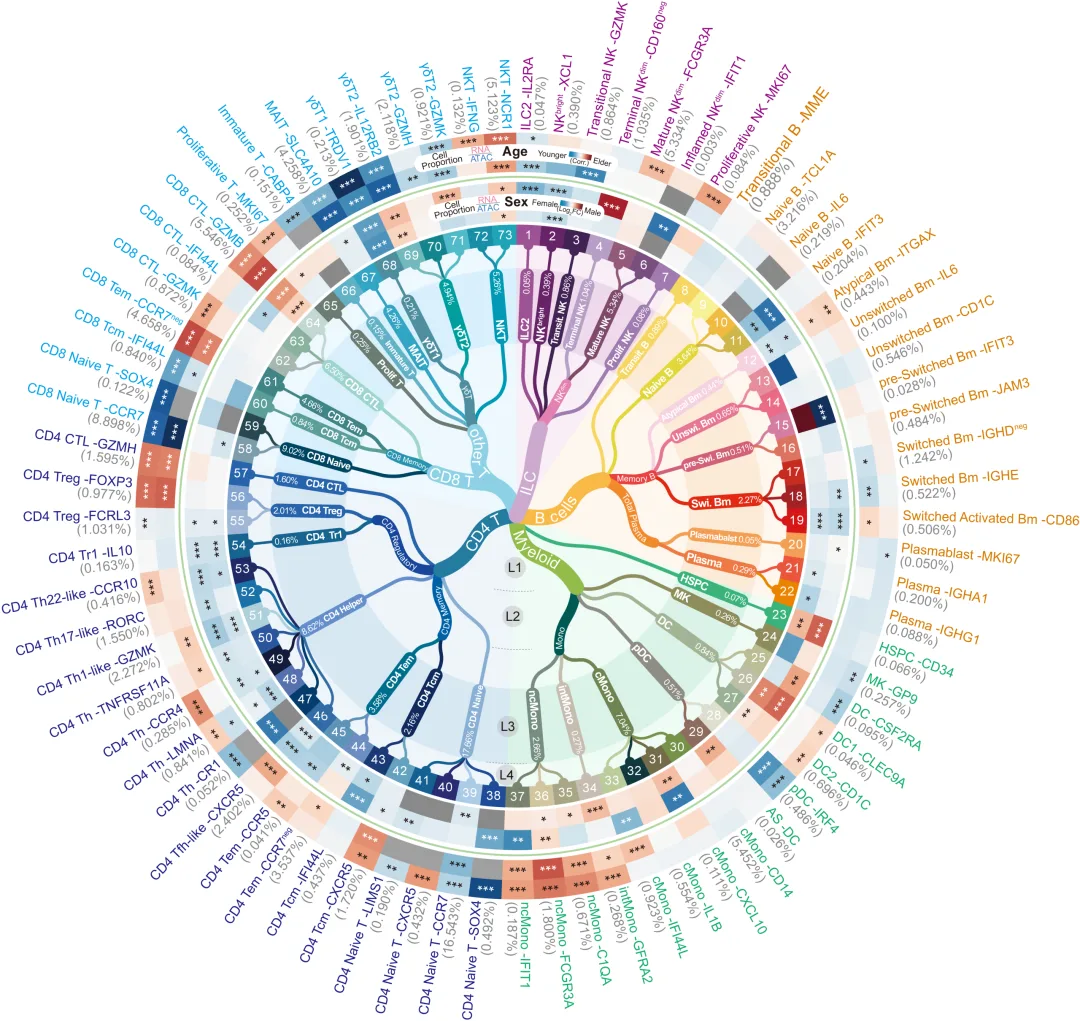全球首个！千万级免疫细胞图谱成功绘制，有望提供未来治疗方案