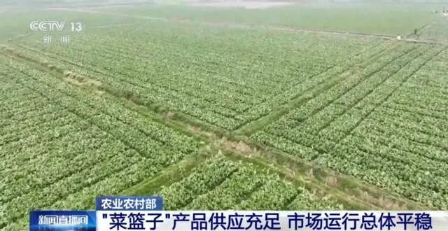 农业农村部：“菜篮子”产品供应充足 市场运行总体平稳