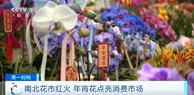 南北花市红火 年宵花点亮消费市场