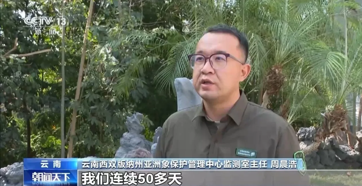 特别“家庭旅行团”亮相 我国野生动植物保护交出亮眼答卷