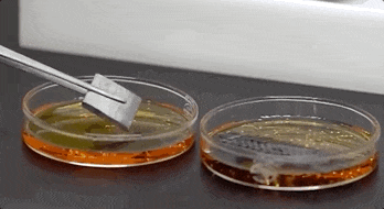 “世界最强”碳纤维，强在哪？有什么用？